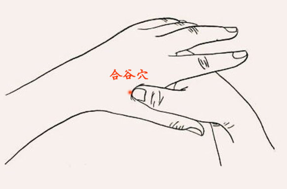 合谷穴位的作用和准确位置