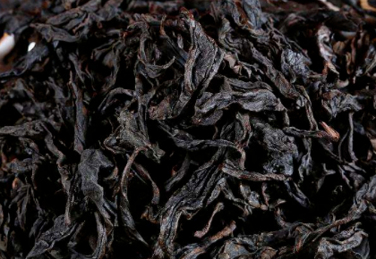 大红袍怎么泡，大红袍茶的正确泡法