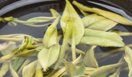 珍稀白茶是什么茶，珍稀白茶多少钱一盒
