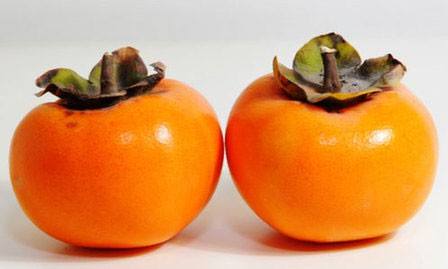 柿子不能和什么食物一起吃？