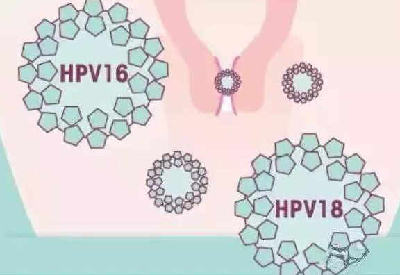 九价hpv疫苗适合人群，九价hpv疫苗26周岁可以打吗