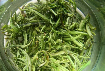 白茶和绿茶有什么区别，白茶和绿茶哪种更好
