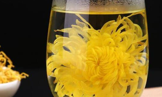 皇菊茶的功效与作用及食用方法