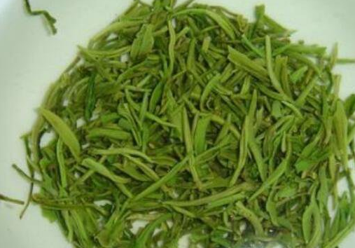 信阳毛尖的功效与作用，信阳毛尖的禁忌及副作用