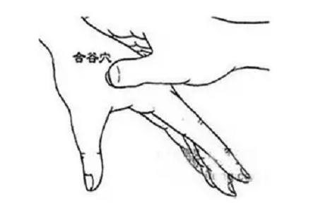 合谷穴的准确位置图片怎么找