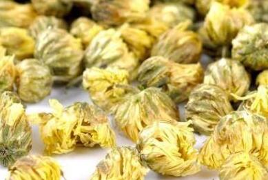 菊花茶哪种菊花好，菊花茶分哪几种