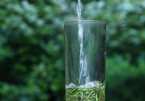 一般的绿茶冲泡方法及注意事项