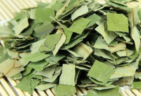 荷叶茶的功效与禁忌，荷叶茶的副作用