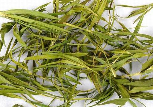 竹叶茶减肥吗，喝竹叶茶能减肥吗