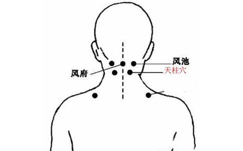 天柱穴在哪里,天柱的准确位置图片