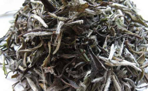 白牡丹和牡丹王一样吗，白牡丹和牡丹王的区别