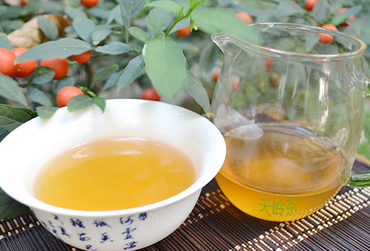 熟普洱茶和生普洱茶的区别，哪个减肥效果好