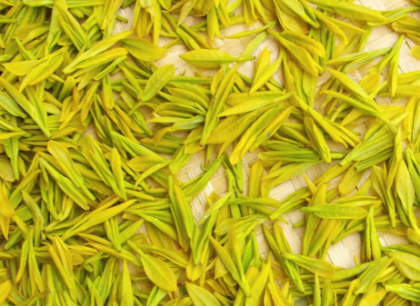 六大基本茶类的加工制作过程及其特点