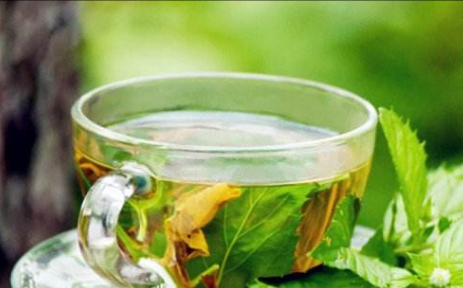 薄荷茶能天天喝吗，薄荷茶喝多少才会中毒