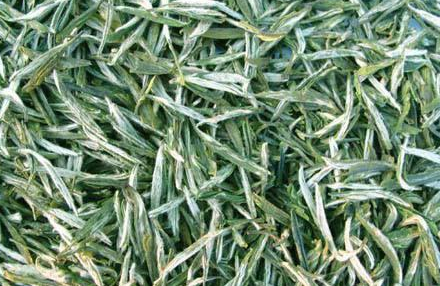 茉莉花茶产地在哪里，茉莉花茶有哪些品种