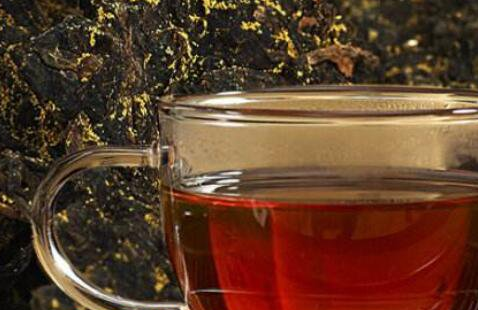 泾阳茯茶的功效与作用，什么人不能喝茯茶