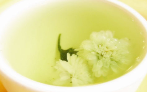 茉莉花茶怎么泡，茉莉花茶的功效有哪些