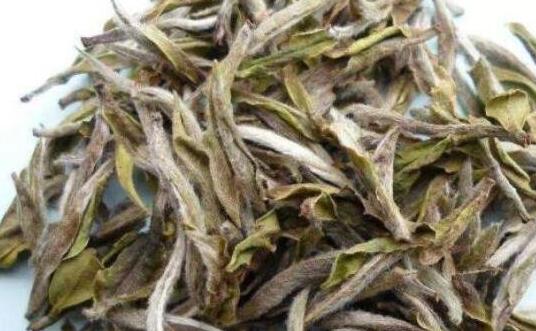 老白茶的功效与作用及禁忌，喝老白茶的好处