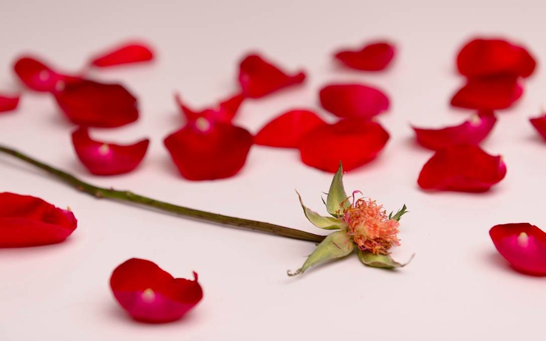 女性比较容易出现气血亏损的情况