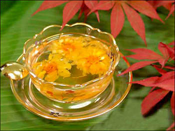 菊花茶的功效多多 电脑族多用菊花茶熏眼