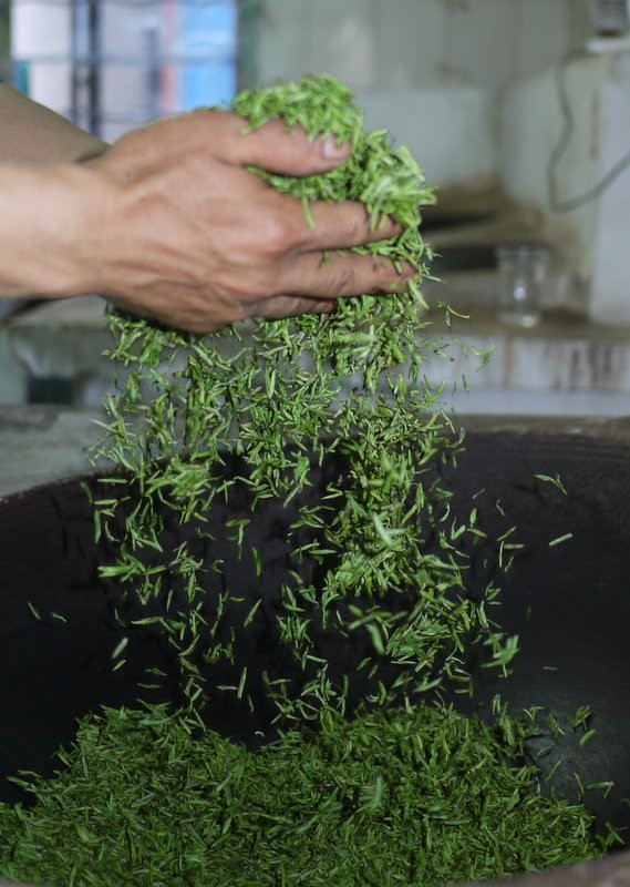 第一季 桃花逸枝碧螺春・太湖纪