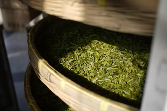 第一季 桃花逸枝碧螺春・太湖纪