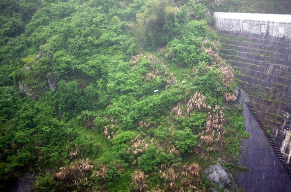 入住在黑暗的角落