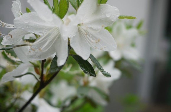 入住在黑暗的角落