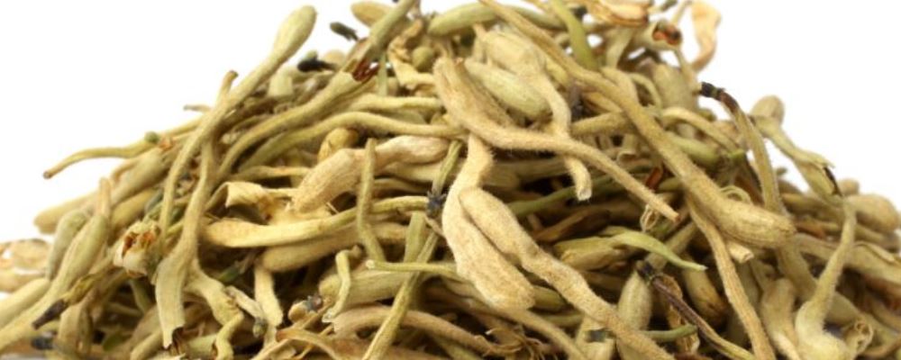 夏末秋初 去火养生食疗方 夏末秋初 去火养生食疗方