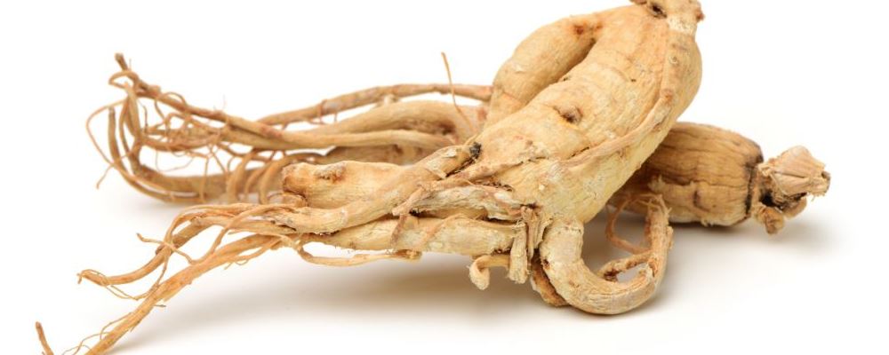 人参进补 怎么吃才健康