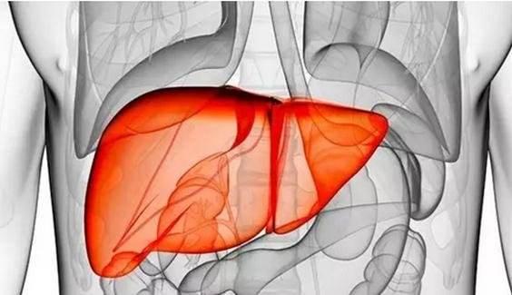 做梦睡不好是因为“血虚”，教你如何养血，从根本解决身体病灶