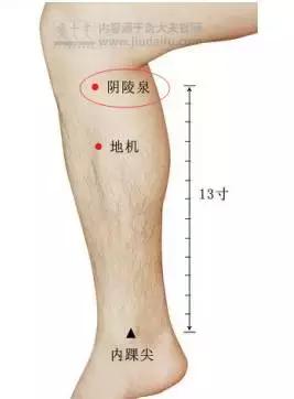 夏季湿气不除、越补越毒！祛湿气最厉害的，不是薏米，而是它！