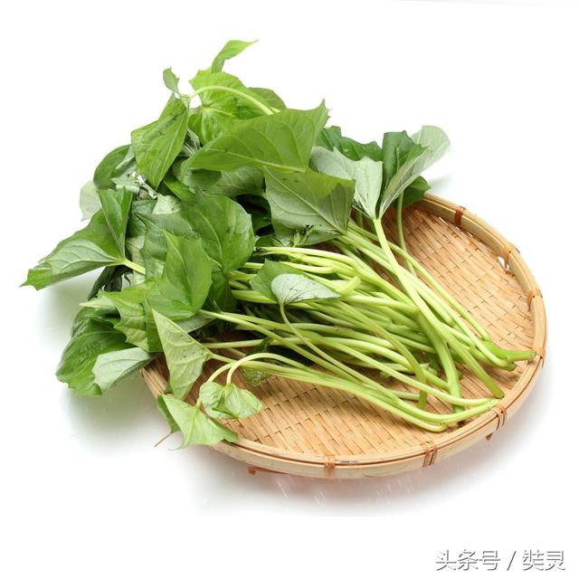 常见排毒食物，你吃过几种？轻松肠道吃出美丽！