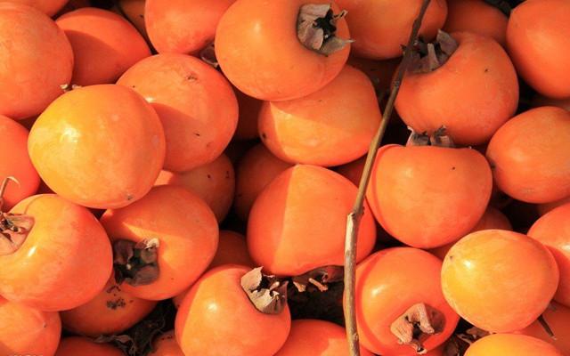 柿子不能和什么一起吃 吃柿子有什么好处？