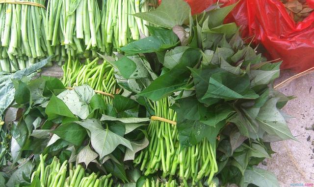 不起眼的“芍叶子”，居然有这么多功效