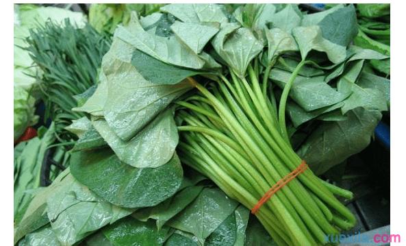 不起眼的“芍叶子”，居然有这么多功效