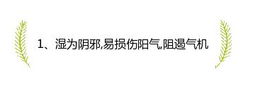 为什么夏季易患皮肤病和湿疹？