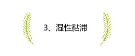 为什么夏季易患皮肤病和湿疹？