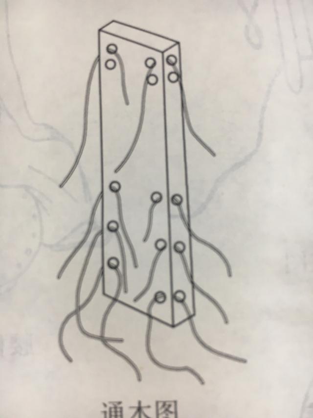 《传统中医正骨术》专用器具使用说明书