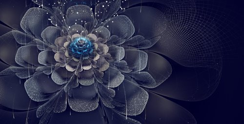 Silvia C.【Italy】