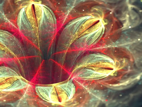 Silvia C.【Italy】