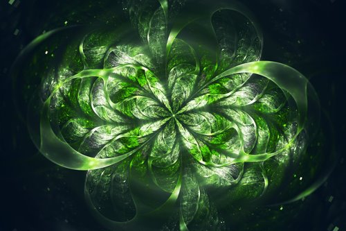 Silvia C.【Italy】