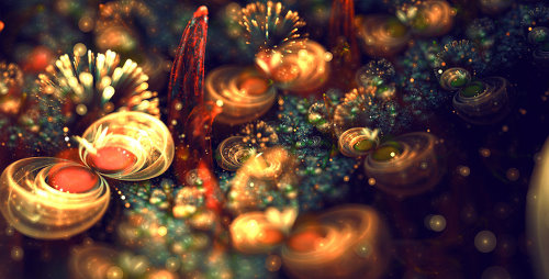 Silvia C.【Italy】