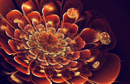 Silvia C.【Italy】