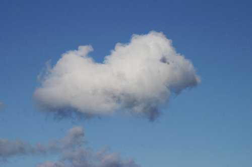 向往一朵云的生活，简约，简单；随风而来，随风而去。