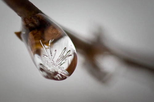 Incredible Examples of Snowflake Photography