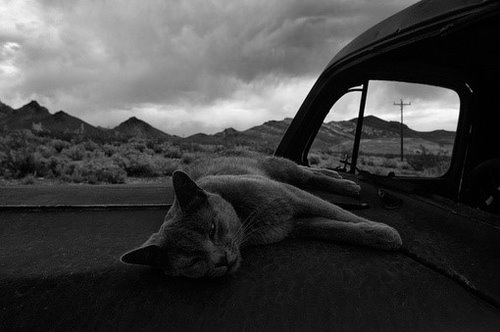 你一直很孤单吧。