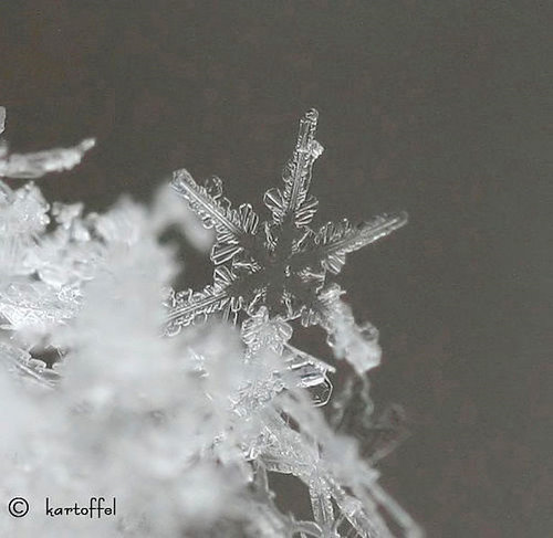 Incredible Examples of Snowflake Photography