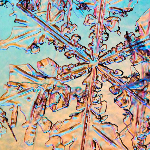 Incredible Examples of Snowflake Photography