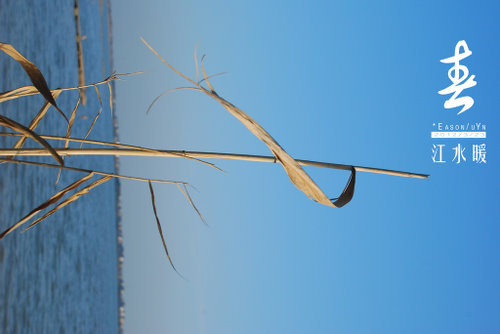 春江水暖@金坛  钱资荡